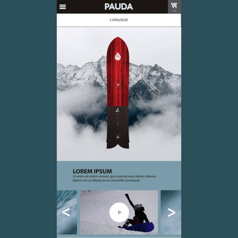 PAUDA3